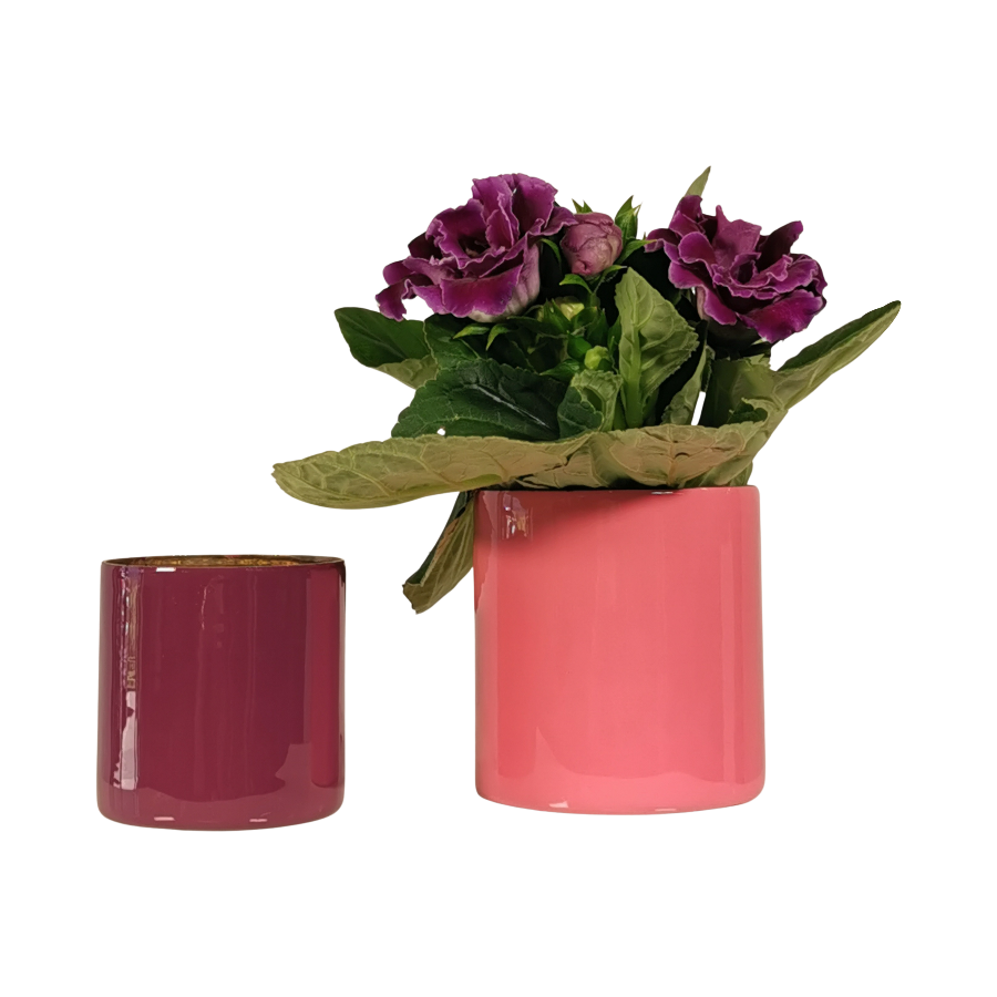Bella Vase